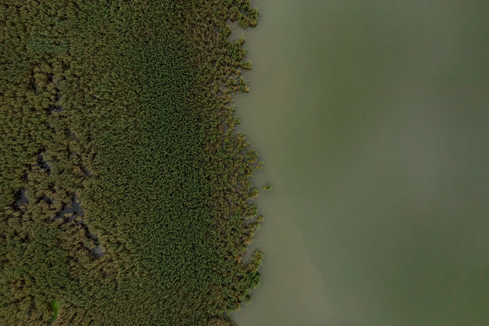 Jour 6 : les Everglades, la Loop Road et l'airboat